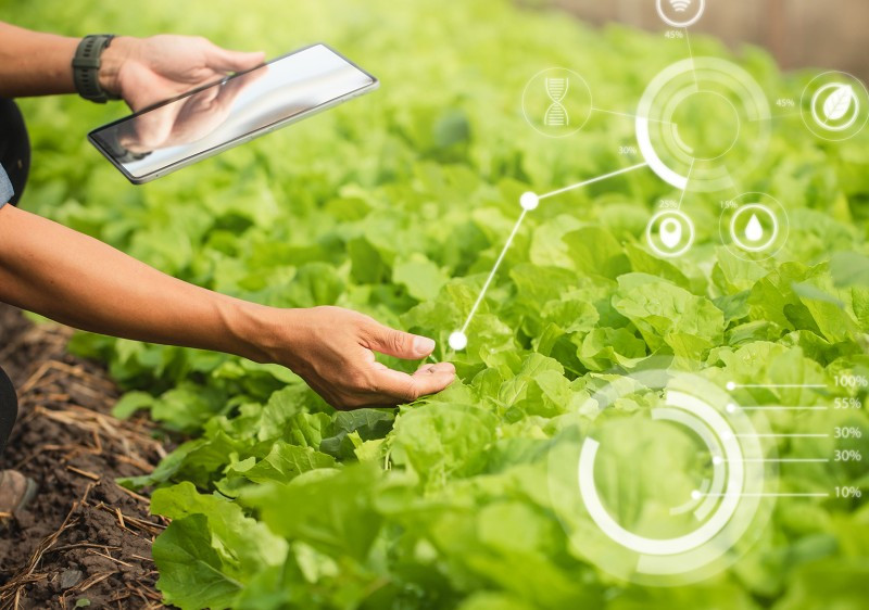 IT Support for Produce and agriculture